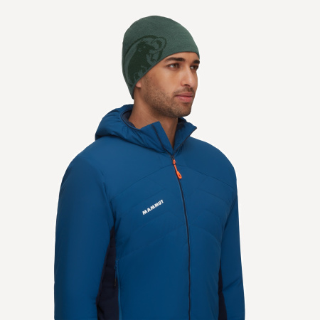 Шапка Mammut Tweak Beanie (; one size; dark jade-woods)